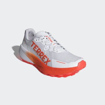 Chaussure de course 'Agravic 3' ADIDAS TERREX en blanc