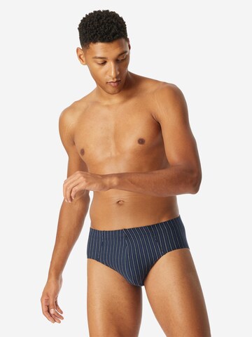 SCHIESSER Panty '95/5 Essentials' in Blue