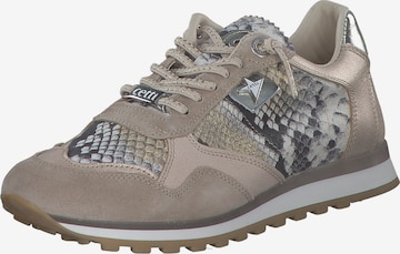 Cetti Sneaker in Braun: Vorderseite