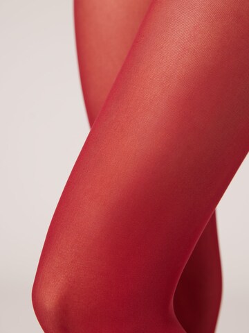 CALZEDONIA Strumpfhose in Rot