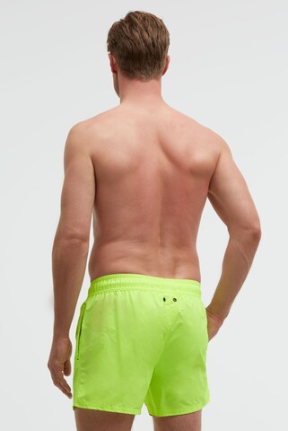 CAMP DAVID Board Shorts in Green