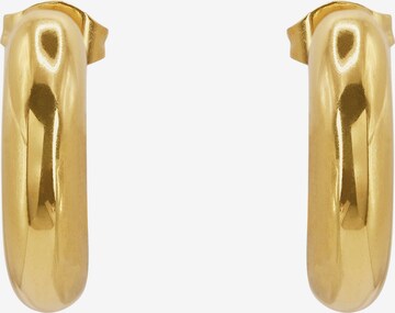 Boucles d'oreilles 'Caius' Heideman en or