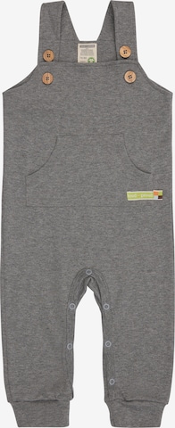 loud + proud Overalls in Grey: front