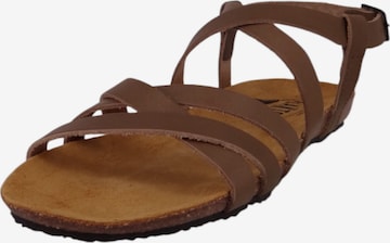 Sandales à lanières 'Mam Vali' Plakton en marron : devant