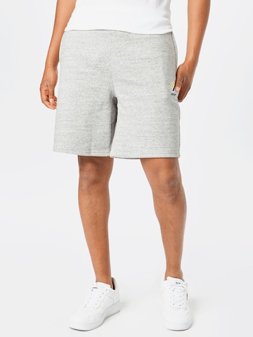 Superdry Regular Shorts in Grau: predná strana