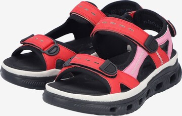 Rieker Hiking Sandals in Red