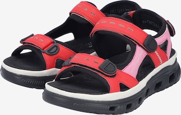 Rieker Hiking Sandals '64074' in Red