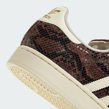 Baskets basses 'Superstar II' ADIDAS ORIGINALS en marron