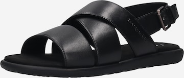 bugatti Sandaalit värissä musta: etupuoli