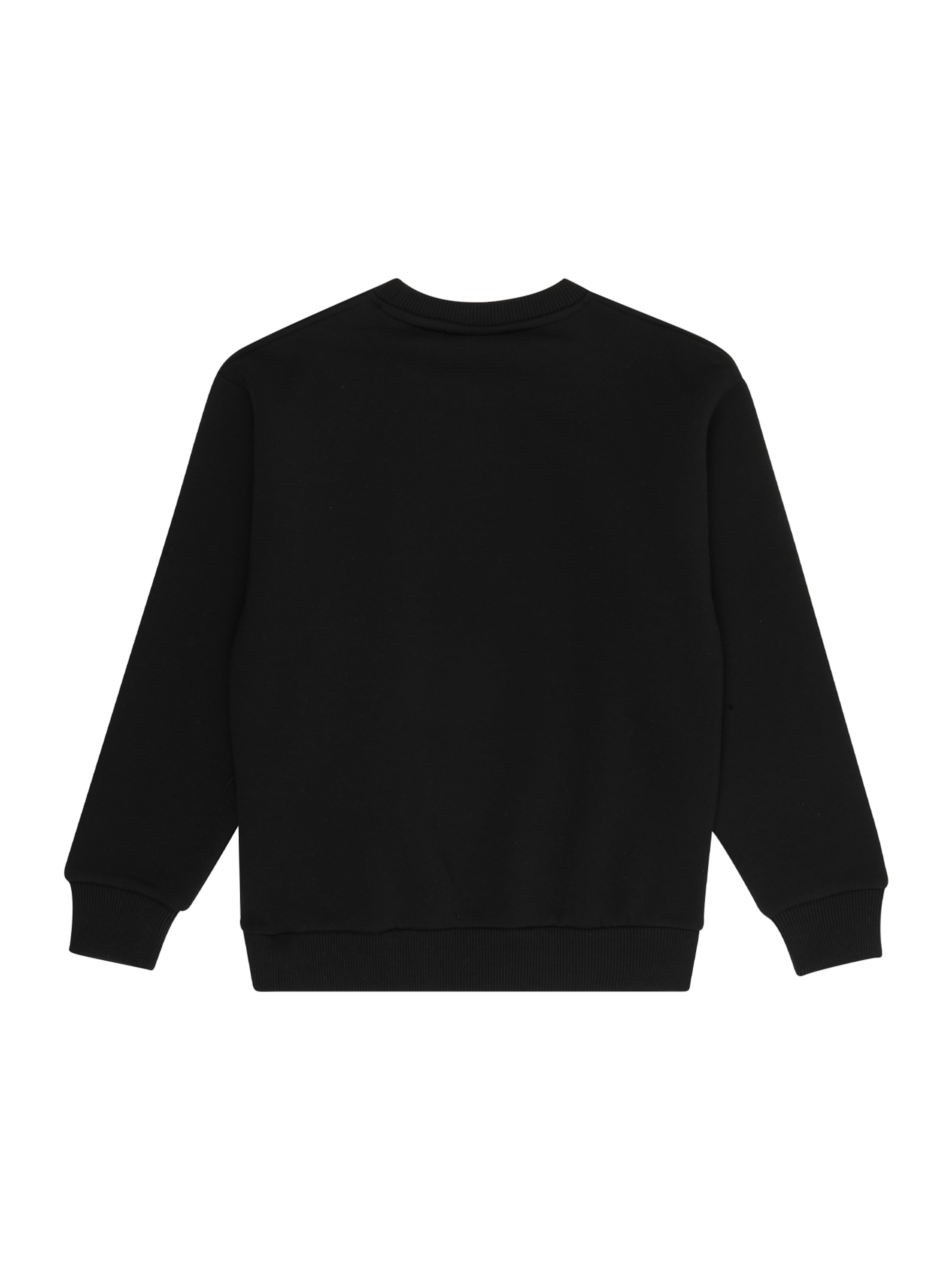 Cars Jeans Свитшот 'Eamon' в Черный