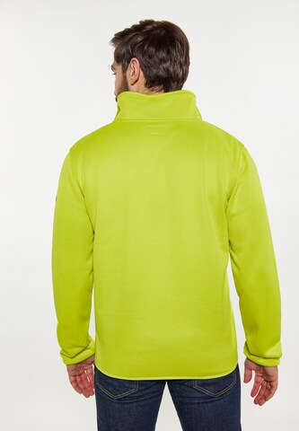 Schmuddelwedda Between-season jacket in Green