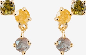 P D PAOLA Earrings in Gold: front