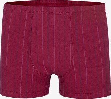 Boxers Charles Colby en mélange de couleurs