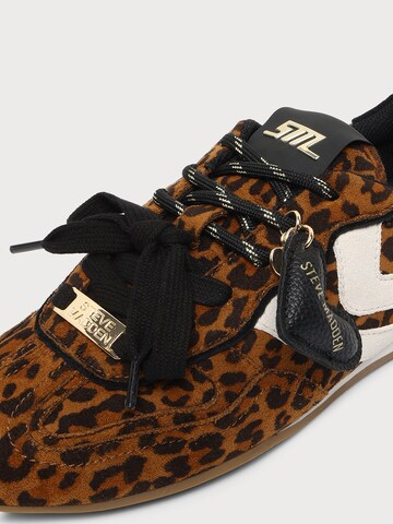 STEVE MADDEN Rövid szárú sportcipők 'Abbi-H' - barna