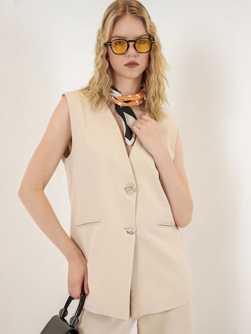 Bigdart Suit Vest in Beige: front