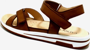 CAPRICE Strap Sandals in Brown