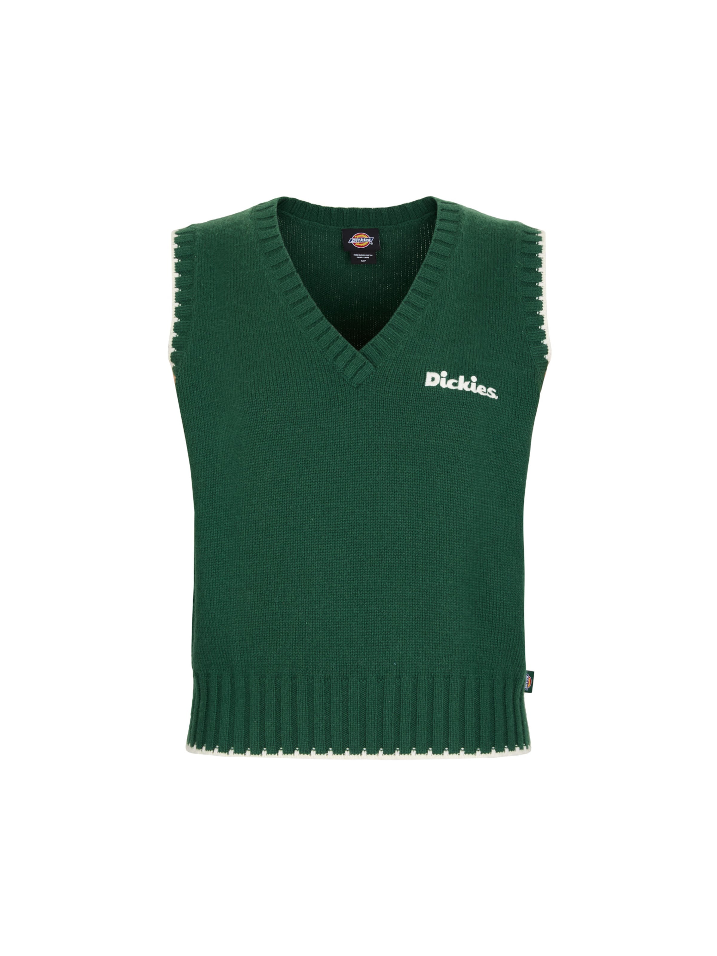 žalia DICKIES Megztinis &#x27;Slayden&#x27;: priekis