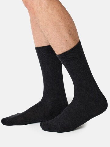 Nur Der Socks in Grey: front