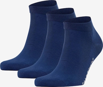 FALKE Athletic Socks in Blue: front