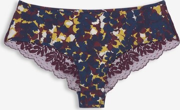 ESPRIT Panty in Mischfarben: predná strana