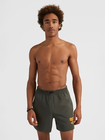 O'NEILL Boardshorts in Grijs