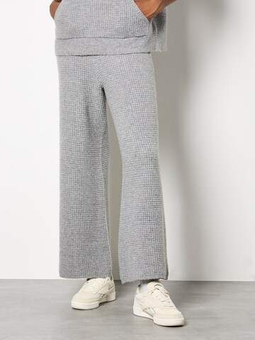 Apricot Wide leg Pants ' ' in Grey: front