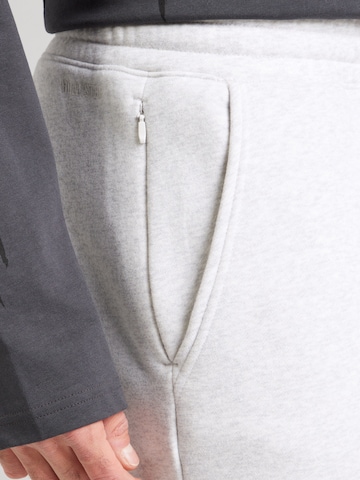 HOLLISTER Regular Hose in Grau