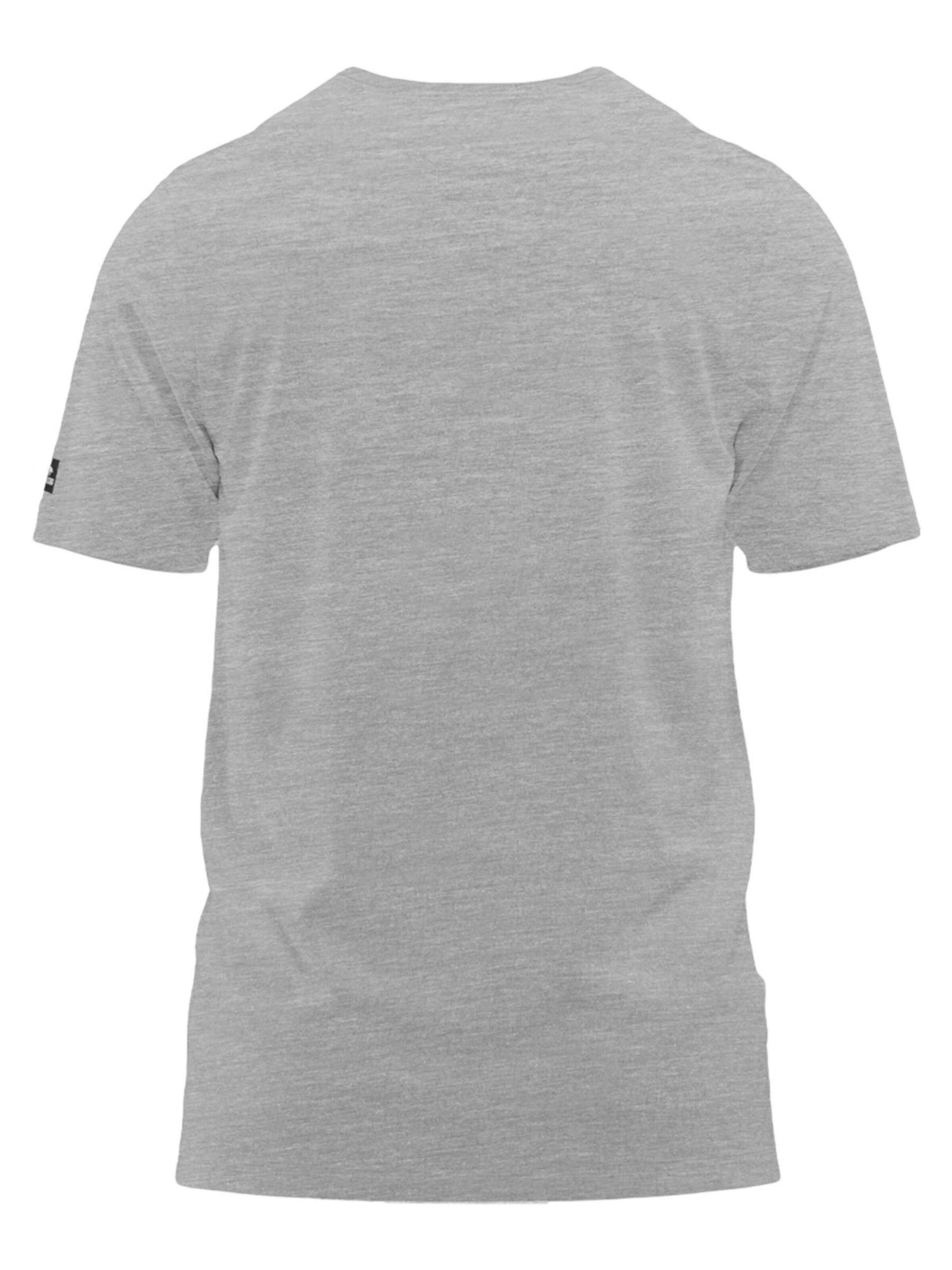 FORSBERG T-Shirt in Grau