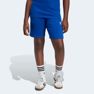 ADIDAS ORIGINALS Pants in Blue: front