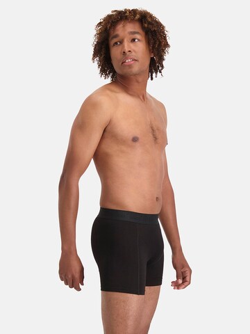 Bamboo basics Boxer shorts 'Rico' in Black