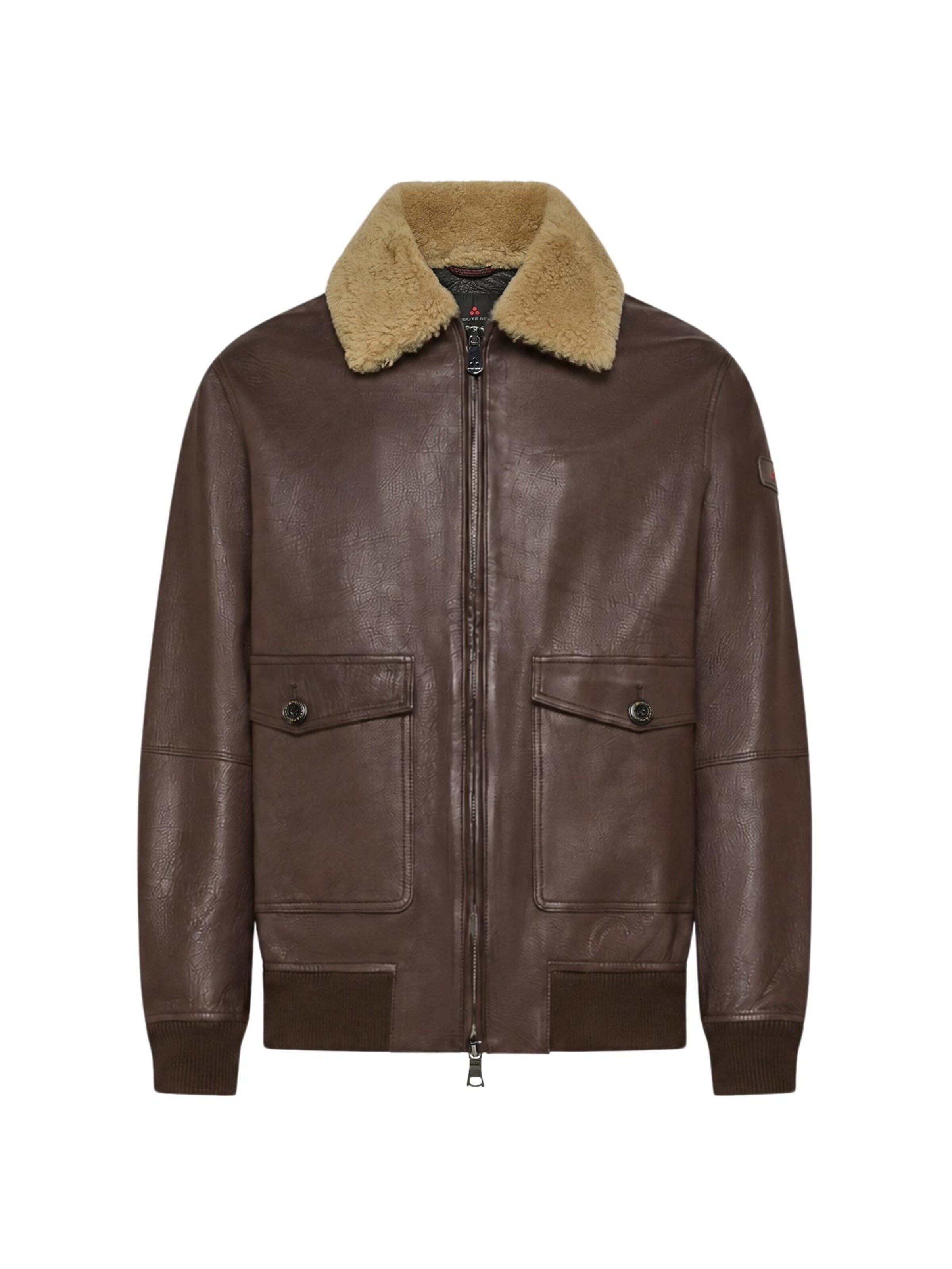 Peuterey Winter Jacket 'PEUTEREY MURDO DD GIUBBINO' in XL in Brown, Item view