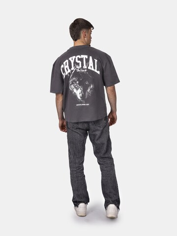 Crystal Paris Shirt 'Nightwolf' in Grijs