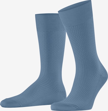 FALKE Socks 'Tiago Special Edition' in Blue: front