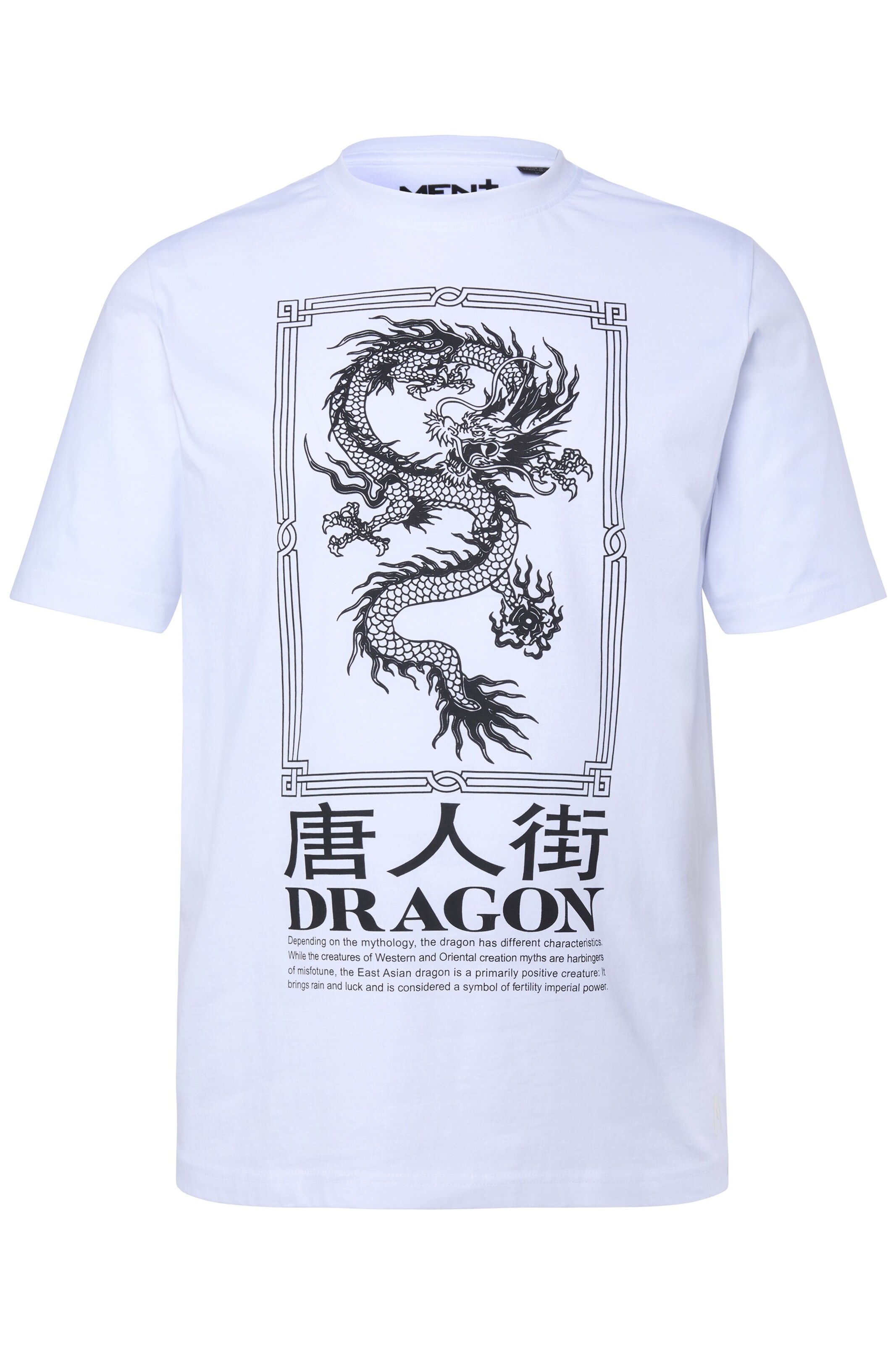 Men Plus T-Shirt in Weiß: Vorderseite