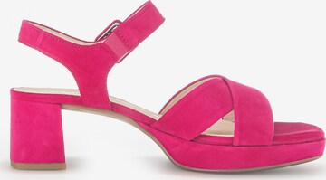 GABOR Strap Sandals in Pink