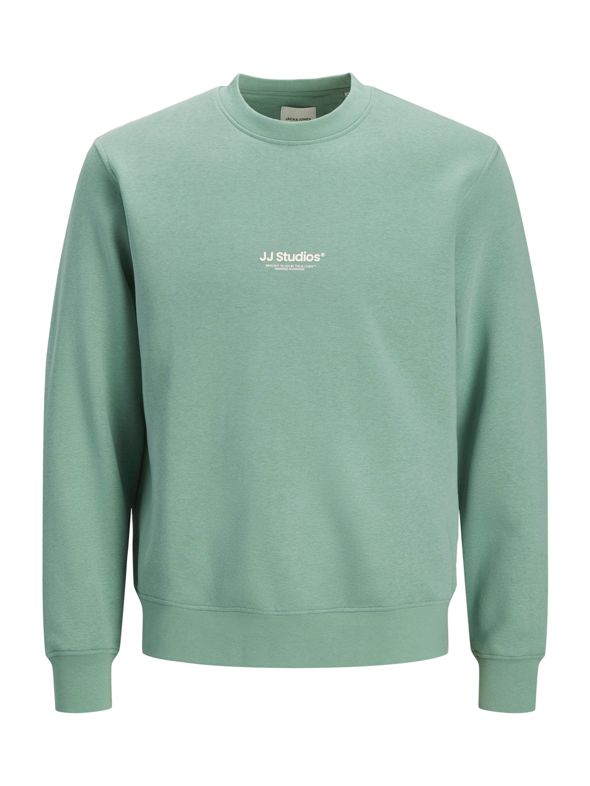 Felpa 'JJESOHO' di JACK & JONES in verde: frontale