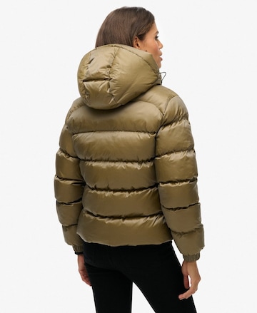 Superdry Tussenjas in Groen