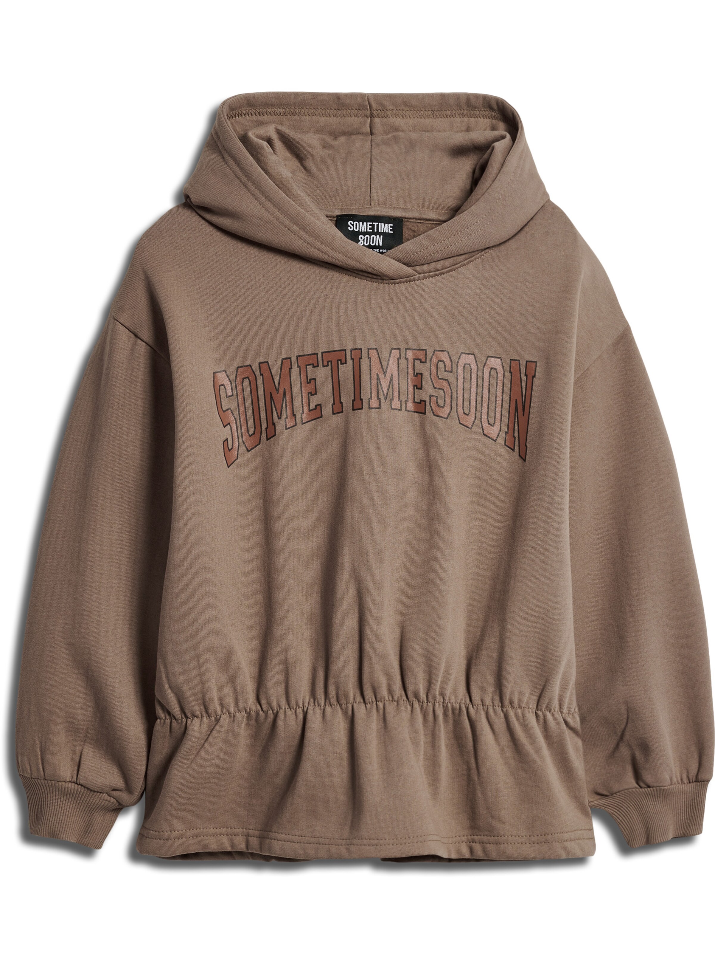 SOMETIME SOON Sweatshirt in Brown: front