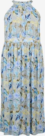 Robe 'ELAVRIN' Zizzi en bleu : devant