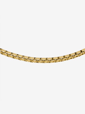 Heideman Bracelet 'Caeli' in Gold