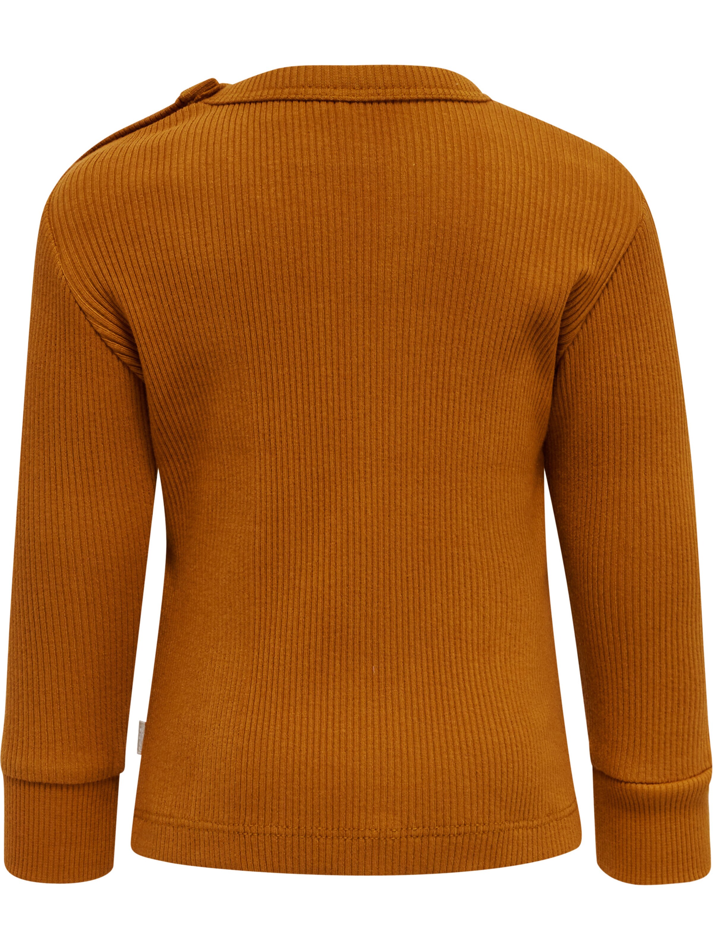 Hummel Shirt 'Sami' in Bruin