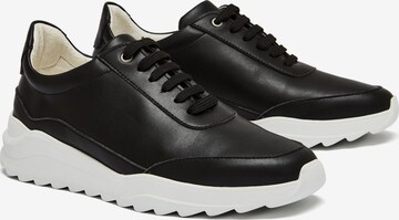 NINE TO FIVE Sneakers 'Florida (v)' in Black