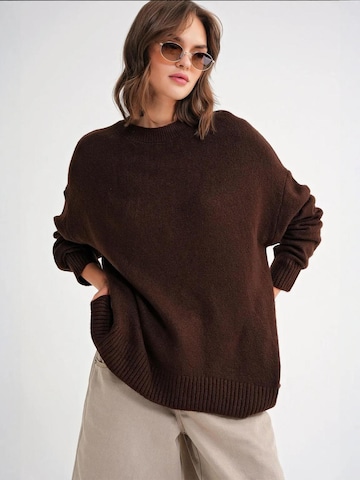 Pullover 'Pullover' di MixRay in marrone: frontale