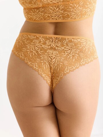 Erlich Textil - Tanga 'Iconic Lace' em laranja