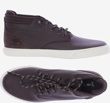 LACOSTE Sneakers & Trainers in 43 in Brown: front