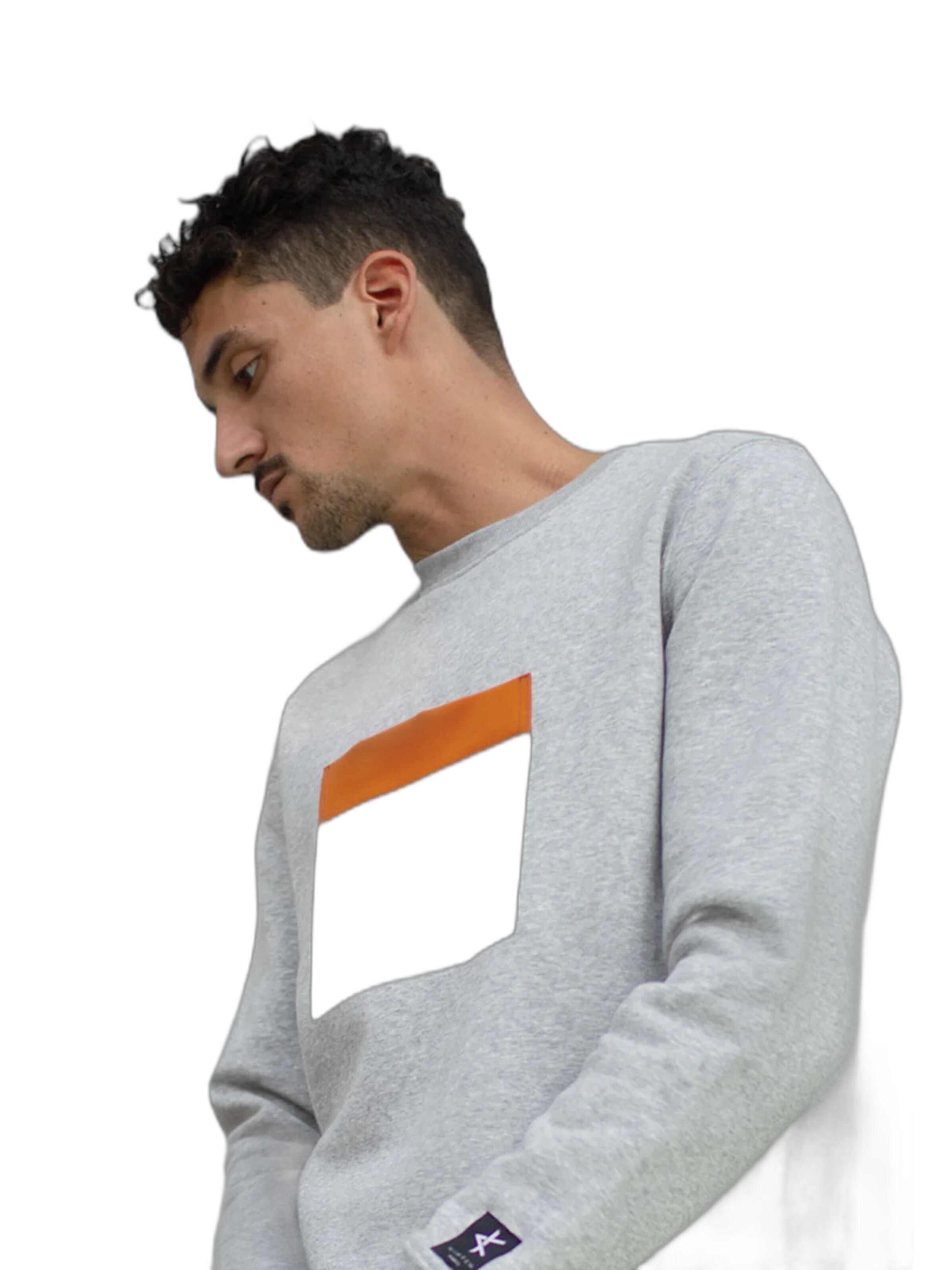 Kanten Sweatshirt 'Sweatshirt Jiba' in Grey: front