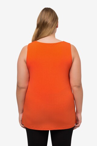 Ulla Popken Knitted Top in Orange