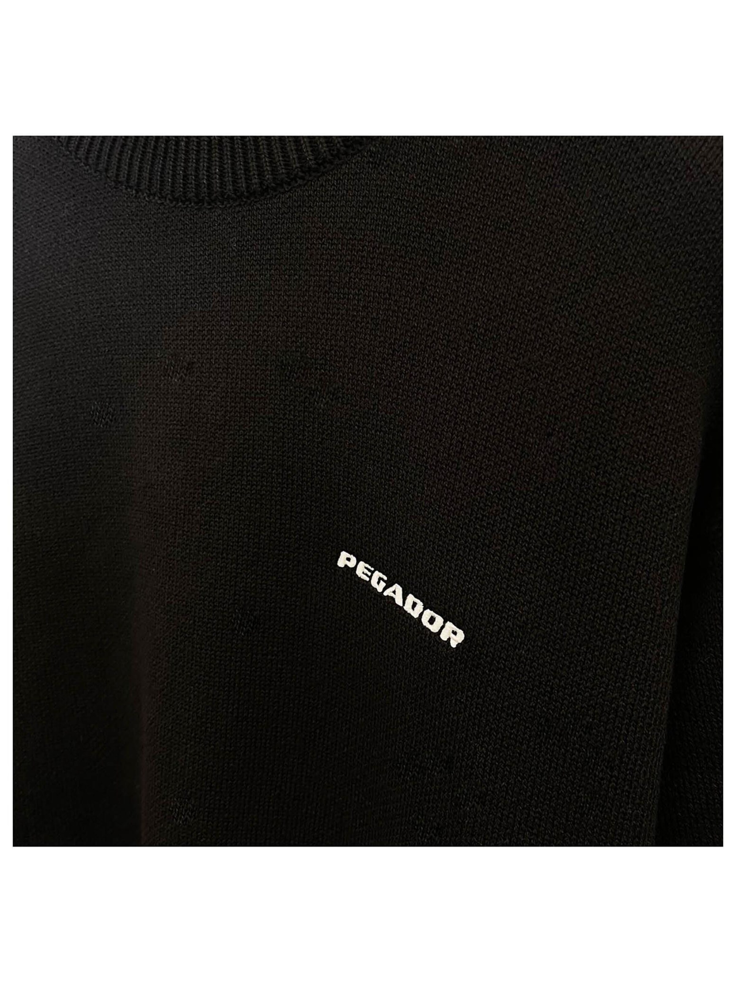 Pegador Pullover 'Logo'‌‌‌‌ in Schwarz