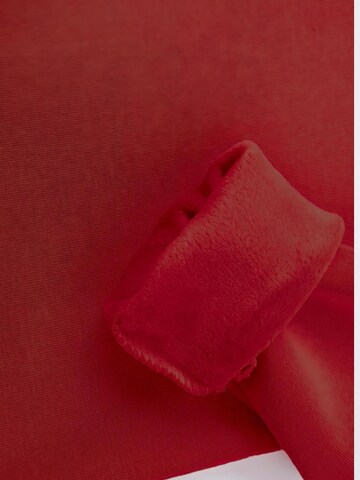 Sailing Sweatshirt 'Cherry' in Red