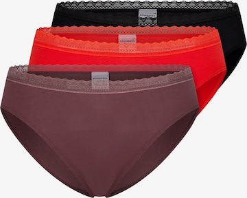 Slip '95/5 Modern Cotton' SCHIESSER en mélange de couleurs : devant